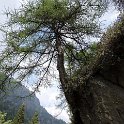 19059613_643726505824716_8550512737706011376_n [1600x1200].jpg